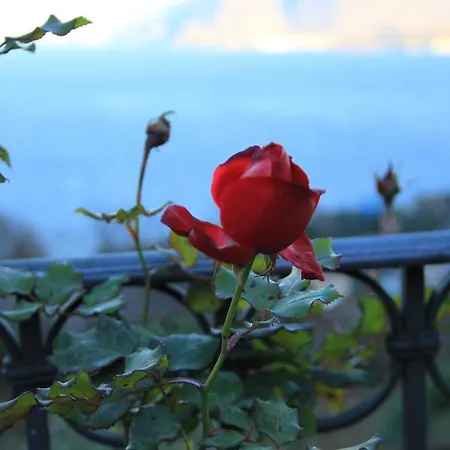 Alba Sul Privatunterkunft