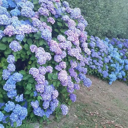 Alba Sul Δωμάτια σε οικογενειακή κατοικία *