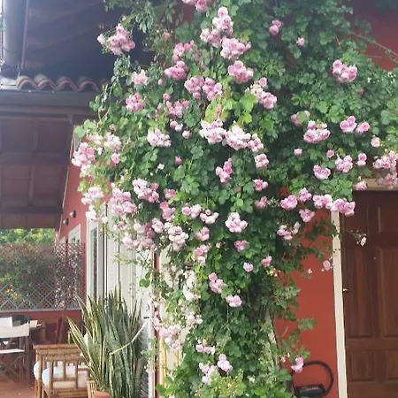 Alba Sul * Στρέσα