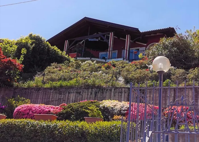 Alba Sul Homestay szállás